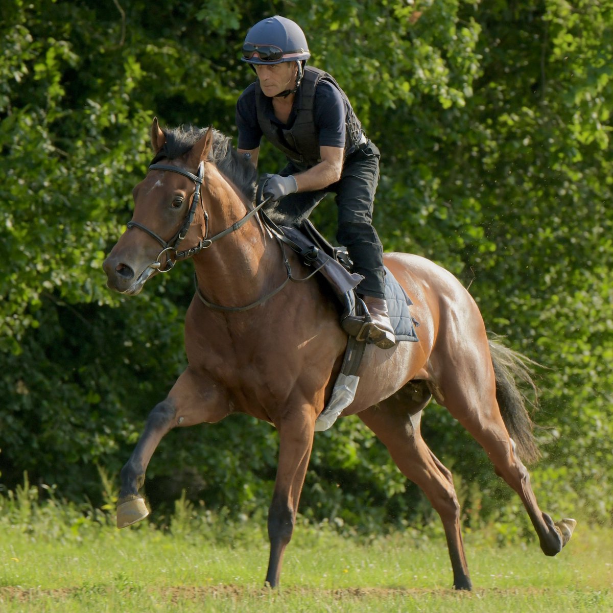 whatcomberacing's tweet photo. Dr Rascal (Sottsass ex Little Miss Rascal) steps into Group company in the 7-furlong Coral Vintage Stakes (Group 2) (2.25 p.m.) at Glorious Goodwood today, with his record of 2 wins for 2 runs. He keeps his winning partnership with jockey Kaiya Fraser. https://t.co/awwUhLIm8B