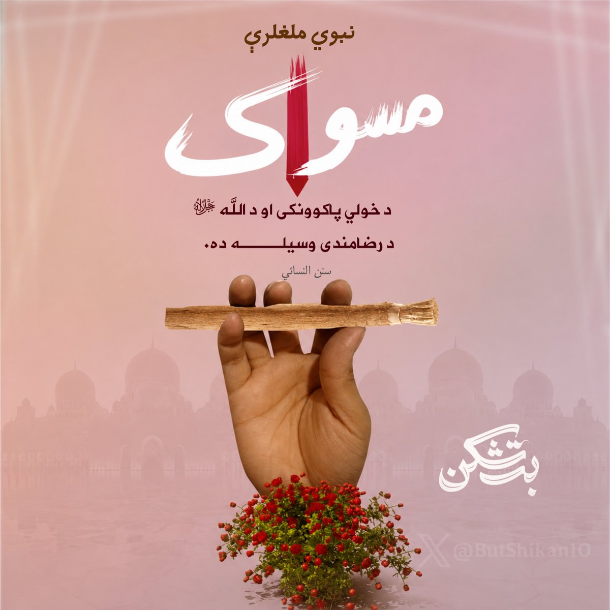 Butshikan10's tweet photo. رسول الله صلی الله علیه وسلم فرمایلي: مسواک د خولي پاکوونکی او د الله ﷻ د رضامندی وسیله ده.
(سنن النسائي - 5)
سبیل الرشاد

#نبوي_ملغلرې 
#بت_شکن 
@Butshikan10 https://t.co/1WSiH2FY75