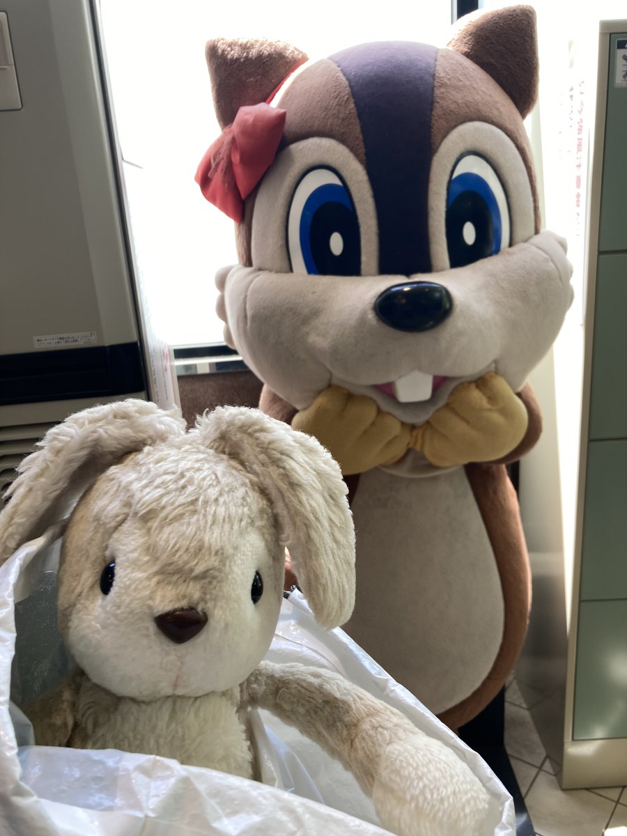 usane_nui's tweet photo. うさね「まだすずしかったころにね やまにのぼったの
「ロープウェーにのったよ https://t.co/xL5UVkw3y4