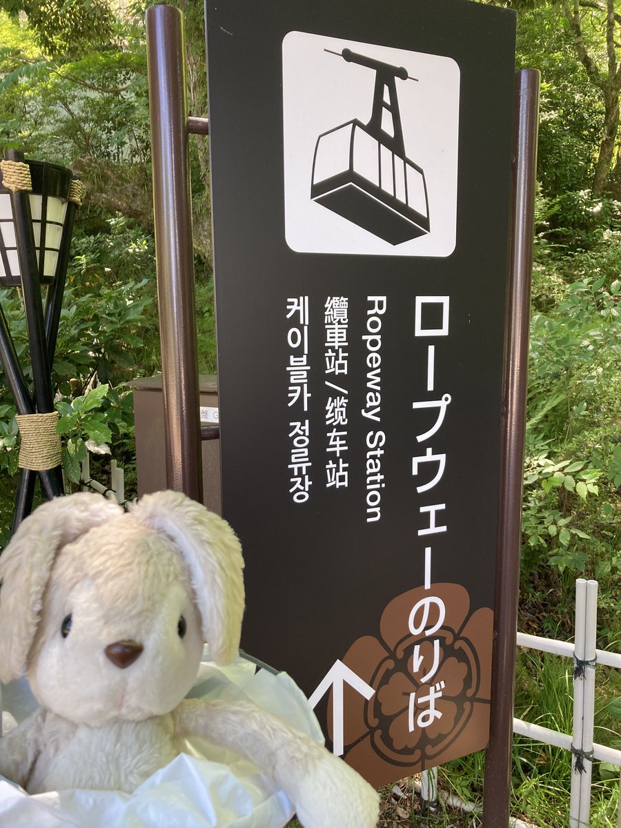 usane_nui's tweet photo. うさね「まだすずしかったころにね やまにのぼったの
「ロープウェーにのったよ https://t.co/xL5UVkw3y4