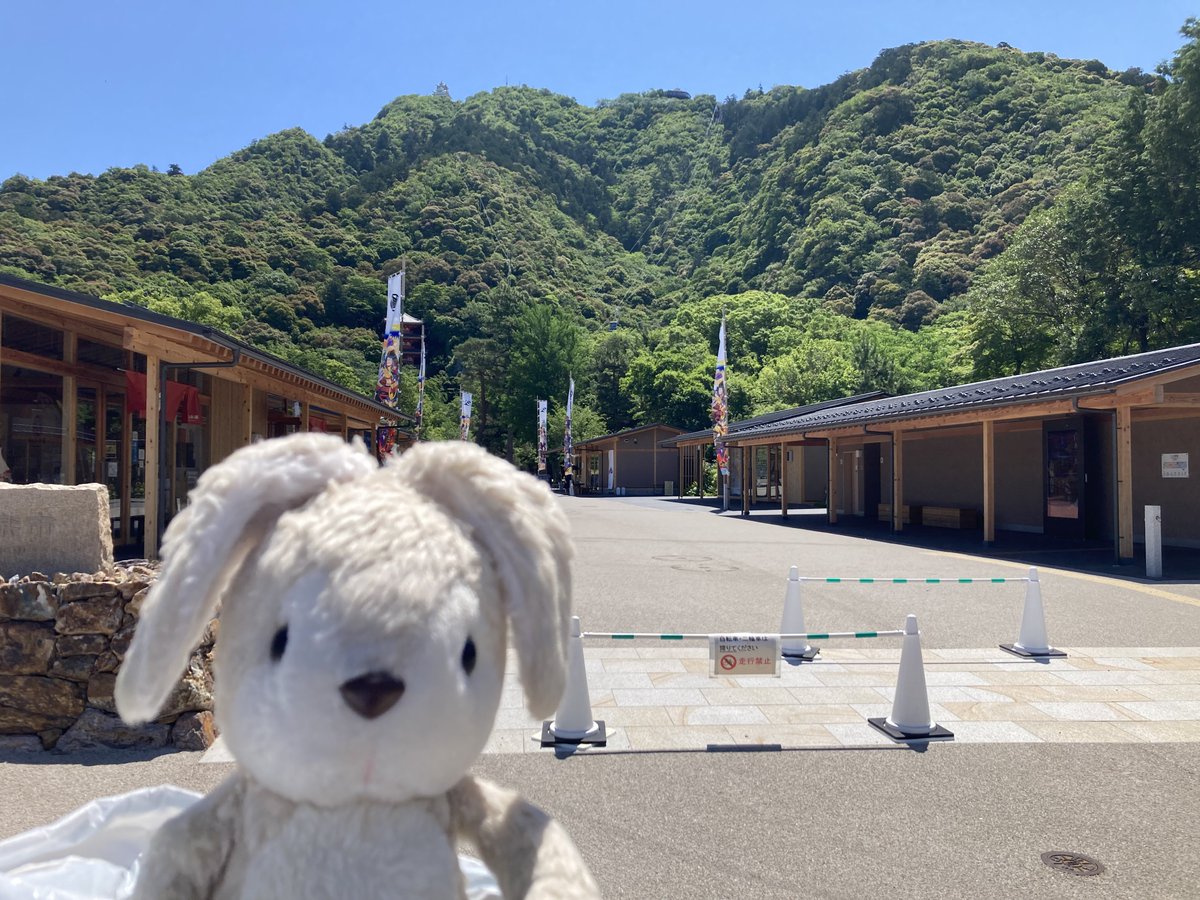 usane_nui's tweet photo. うさね「まだすずしかったころにね やまにのぼったの
「ロープウェーにのったよ https://t.co/xL5UVkw3y4