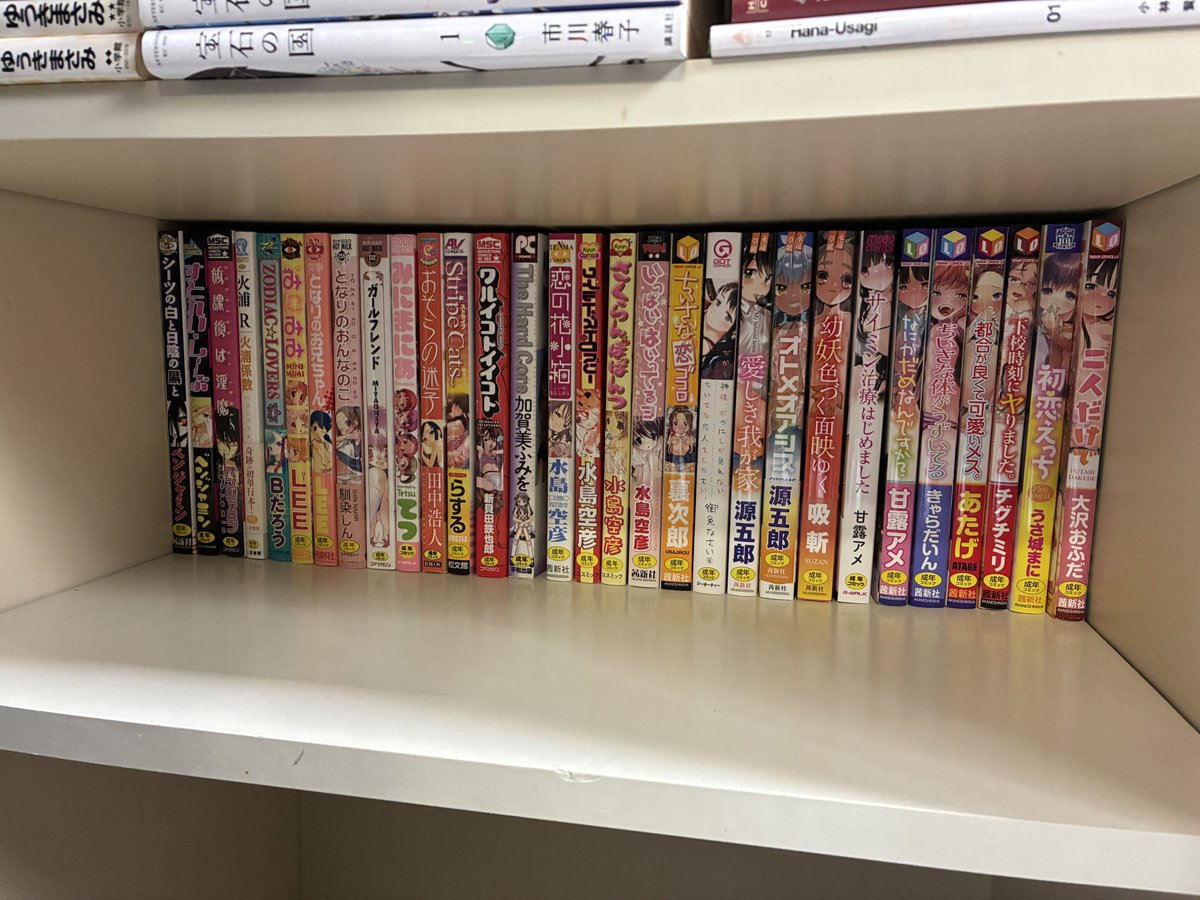 tabby_13's tweet photo. 本棚をいったんカラにして
上から詰めていく
その2 https://t.co/XaqWXu8KGX