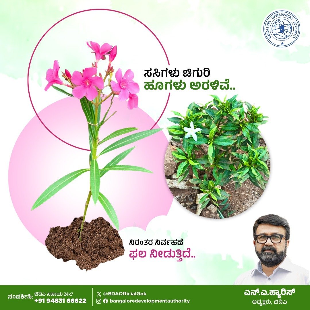 BDAOfficialGok's tweet photo. ಇದು ಕೇವಲ ಹೂವಲ್ಲ, ನಿರಂತರ ಆರೈಕೆಯ ಯಶೋಗಾಥೆ.
ಗಿಡ ನೆಡುವುದರಿಂದ ಆರಂಭವಾದ ಈ ಪಯಣ, ನಿರಂತರ ಆರೈಕೆ ಮತ್ತು ವೈಜ್ಞಾನಿಕ ನಿರ್ವಹಣೆಯೊಂದಿಗೆ ಇಂದು ಸುಂದರ ಹೂವಾಗಿ ಅರಳಿದೆ.
ಬೆಂಗಳೂರಿಗೆ ಹಸಿರು ಹೊದಿಕೆಯ ಕನಸನ್ನು ನನಸಾಗಿಸುವತ್ತ ಬಿಡಿಎಯ ಹೆಜ್ಜೆ ನಿರಂತರ.
@mlanaharis @Captain_Mani72
#BDA #SaplingMaintenance #FlowersBlooming #15LakhNativeSaplings #GreenCoverforBengaluru