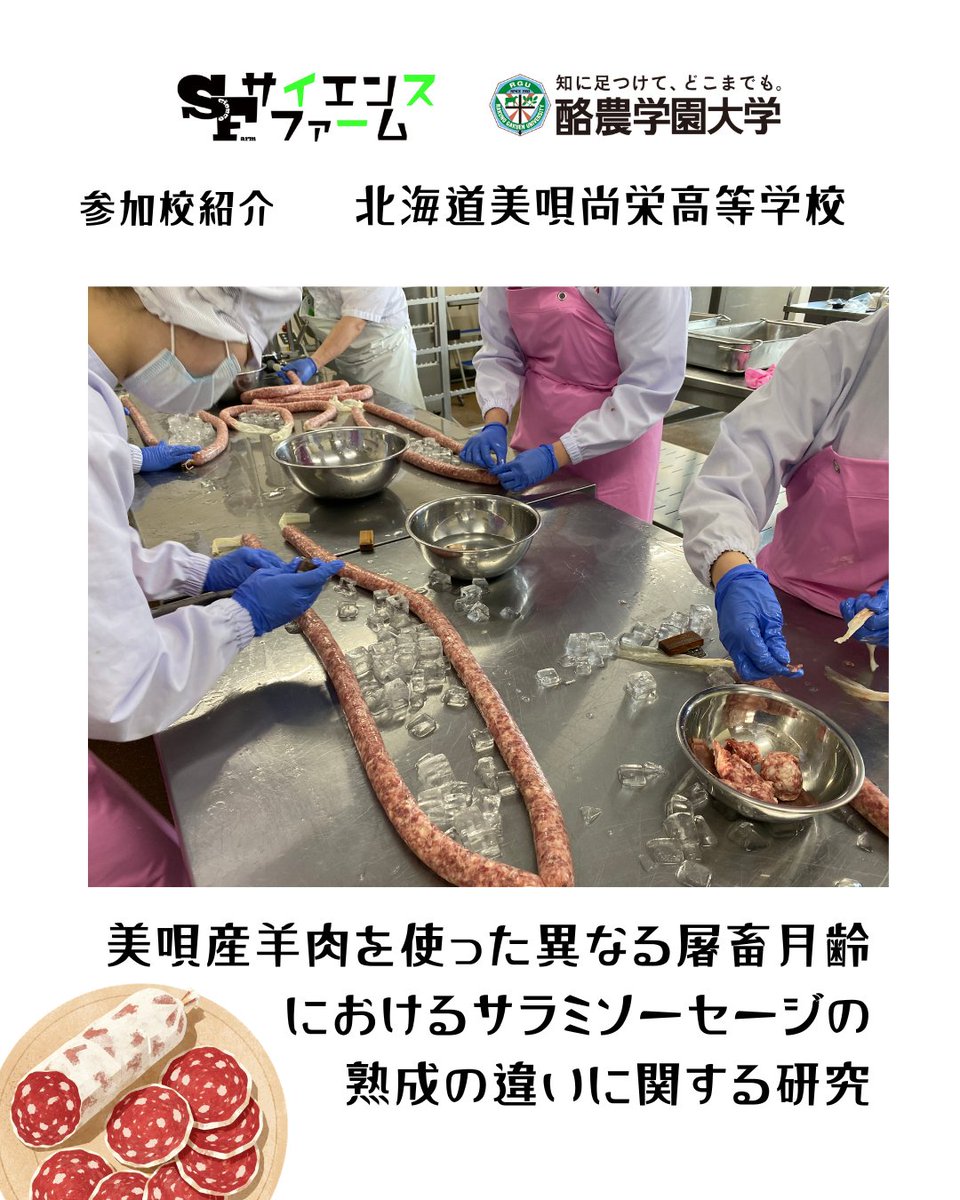science_farm's tweet photo. 【参加校紹介】北海道美唄尚栄高等学校
＼開催まであと4日！／
サイエンスファーム発表校の紹介！ 
演題『美唄産羊肉を使った異なる屠畜月齢におけるサラミソーセージの熟成の違いに関する研究』全国唯一の技術を生かし美唄羊肉サラミの開発・分析に挑みます！#サイエンスファーム2026 #酪農学園大学 https://t.co/S1adc9FFUu