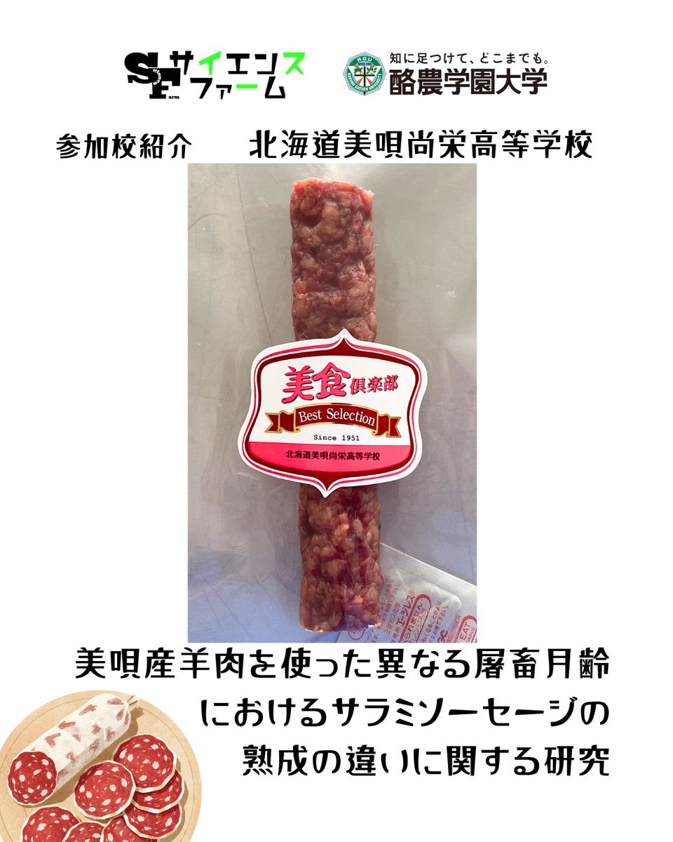 science_farm's tweet photo. 【参加校紹介】北海道美唄尚栄高等学校
＼開催まであと4日！／
サイエンスファーム発表校の紹介！ 
演題『美唄産羊肉を使った異なる屠畜月齢におけるサラミソーセージの熟成の違いに関する研究』全国唯一の技術を生かし美唄羊肉サラミの開発・分析に挑みます！#サイエンスファーム2026 #酪農学園大学 https://t.co/S1adc9FFUu
