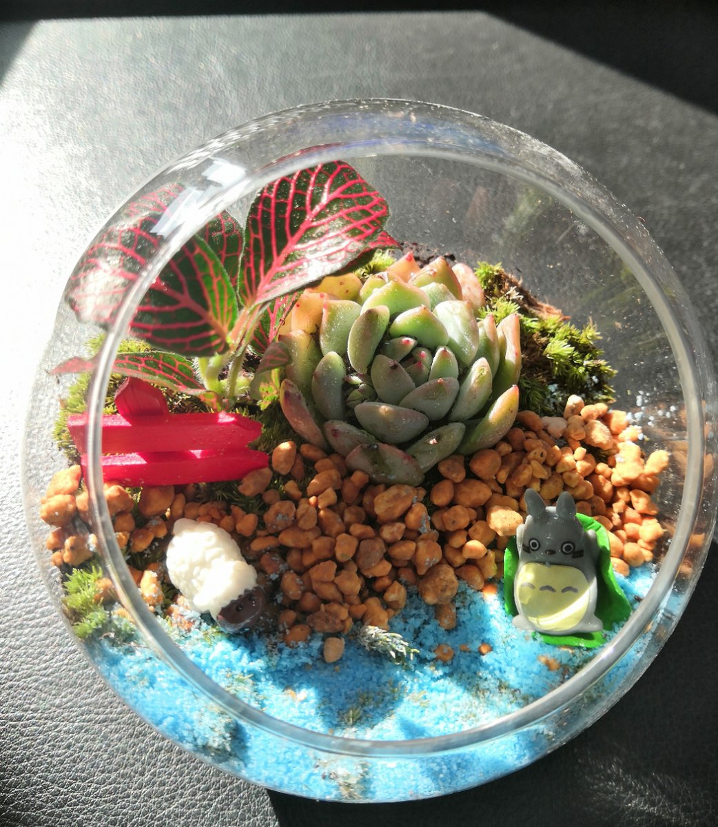 benaunz's tweet photo. Just upcycled an old glass jar into a cute mini succulent planter! No fancy tools needed, just a bit of paint and patience.  #DIYCraft https://t.co/b40RzUFrix