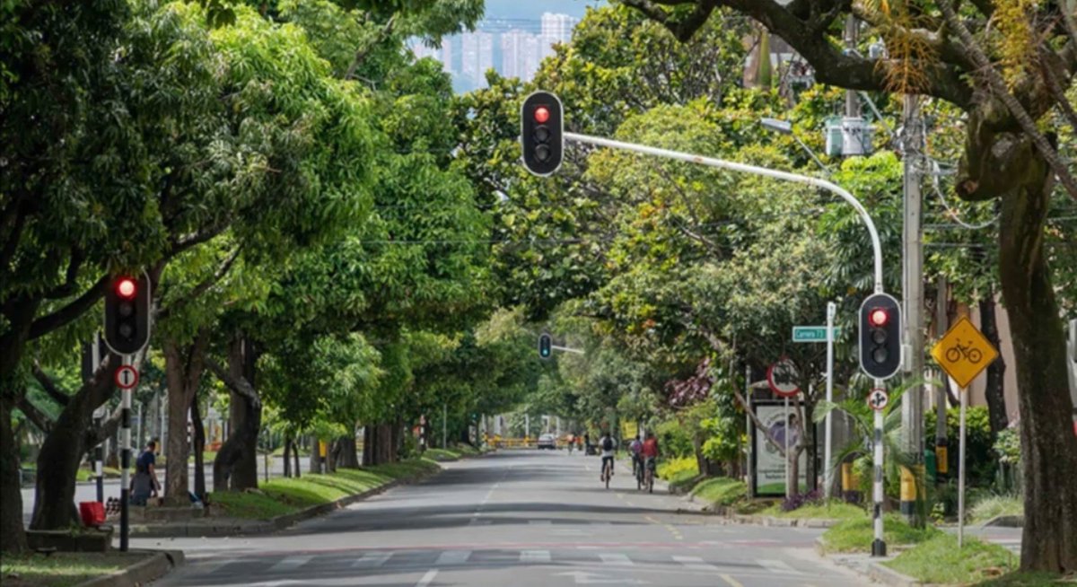 visualsx_'s tweet photo. Colombia reduced temperatures by 5°C by planting 880,000 trees along the streets of its cities. https://t.co/VlU7EUpQO6