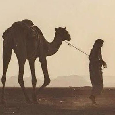 EbuuBeraa's tweet photo. #YeniProfilResmi https://t.co/SgxIjCtWV0