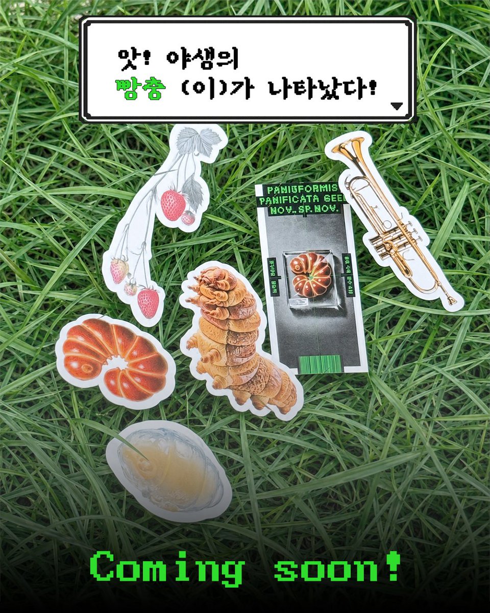 SafeHouse_kr's tweet photo. 🥐🐛 앗! 야생의 빵충(이)가 나타났다! 🥐🐛

독자님들 덕분에
『빵충 사육 준수 사항』 1쇄, 2쇄가 불티나게 소진되고
3쇄까지 확정되었습니다! 감사합니다… 진짜로요🥹

그래서 그냥 넘어갈 수 없죠
3쇄 기념으로 무언가를 준비 중입니다‼️

"아니 이미 샀는데요?" 하시는 독자님들,걱정 금지!!
미리 구매해 주신 독자님들 대상으로 SNS 이벤트를 준비하고 있습니다
곧 진행할 예정이니 안전가옥 SNS 팔로우하고 기다려주세요🔥

P.S. 빵충 귀엽죠? 귀엽다고 해주세요…