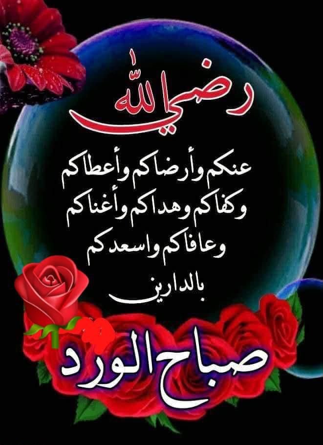 abomid88's tweet photo. https://t.co/REUqgkk6zi