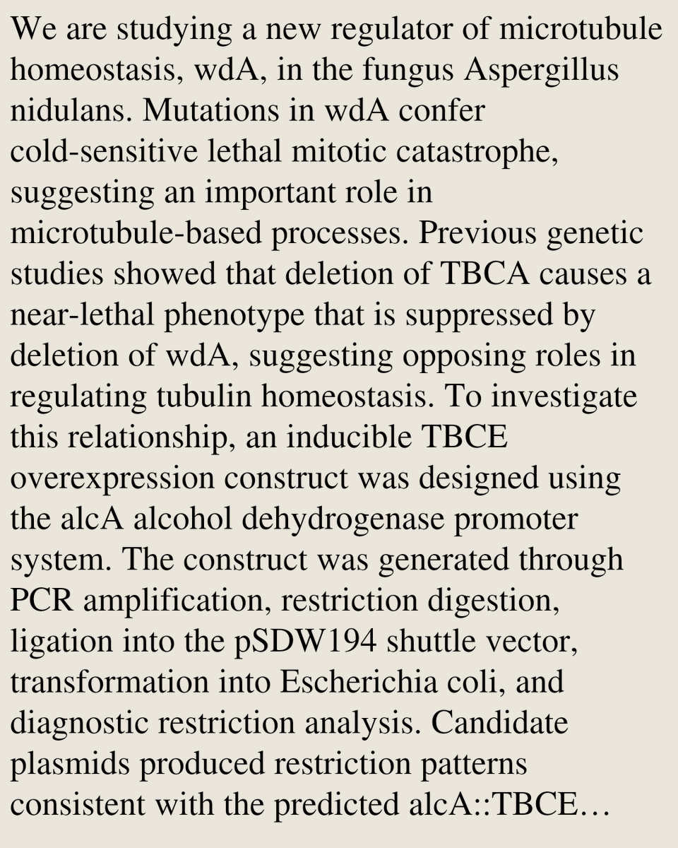 ENZN's tweet photo. Construction of an Inducible TBCE Overexpression System to Probe Tubulin Cofactor-Mediated Microtubule Homeostasis

Faiza Hasib Khan
https://t.co/WUOHR4TBJy [𝚚-𝚋𝚒𝚘.𝙼𝙽] https://t.co/0GmunwdMSS