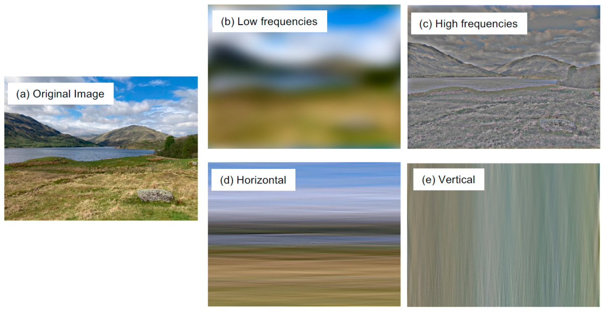 vision_mdpi's tweet photo. 🧠Comprehensive review on visual stress
Proposes cerebral mechanism: mismatch with natural scene statistics
Covers flicker, spatial frequency, individual differences
Interventions: environmental design + precision tints
#VisualStress #SensoryHealth
📎https://t.co/0kTKt2tp5D https://t.co/fc3pfgUnma