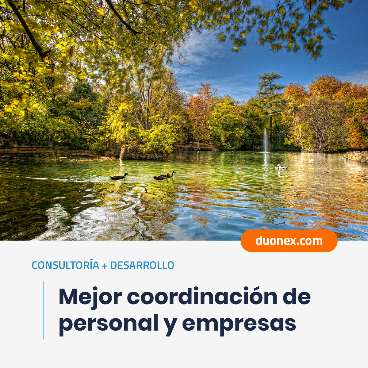 duonex_es's tweet photo. Consultoría y desarrollo para @AyuntamientoVLL
#CasosDeÉxito
Plataforma para la gestión de los avisos en el servicio de parques y jardines, que permite mejorar la coordinación de personal y empresas que prestan el servicio de mantenimiento y obras.
➡️ https://t.co/XlylD8AhtO https://t.co/LQ8Fl8IThD