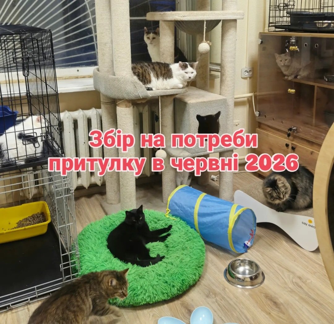 MurchikiUa's tweet photo. Щомісяця ми відкладаємо цей пост до останнього.

Хочеться писати про щасливі прилаштування та історії котиків, які потрапляють в притулок. Але є те, без чого цього всього не може бути.
Це щоденні витрати, для існування притулку.

Чимало людей не знають, що більшість притулків не отримує фінансування від держави. Не мають грантів чи великого спонсора. Майже всі українські притулки живуть лише завдяки людям, яким не байдуже, які допомагають руками, кормом чи грошима.

Наші щомісячні витрати, це:
🐾 Оренда та комунальні послуги
🐾 Зарплата трьом людям, які щодня без вихідних доглядають за котиками, лікують їх, прибирають, годують, ведуть наші соцмережі, спілкуються щодо тварин, зустрічають відвідувачів, їздять на заходи адопції, розвивають роботу притулку
🐾 Господарські витрати, ремонти, закупівлі
Кожен прилаштований, пролікований котик в притулку, та кожне місце в притулку з шансом знайти дім існують завдяки вашим пожертвам.

Якщо у вас є можливість - підтримайте нас будь-якою сумою.
🔗 Посилання на банку https://t.co/lJfBimx0j6
Карта банки 4441111125716146 

Запрошуємо бажаючих навідатись в притулок, працюємо щодня. Київ, Солом’янка.
Приймаємо в подарунок в необмежених кількостях сухий та вологий корм 4 лапи для стерилізованих котиків
 Зв’язок за телефоном/месенджери 0637311130
💛 Дякуємо кожному, долучається