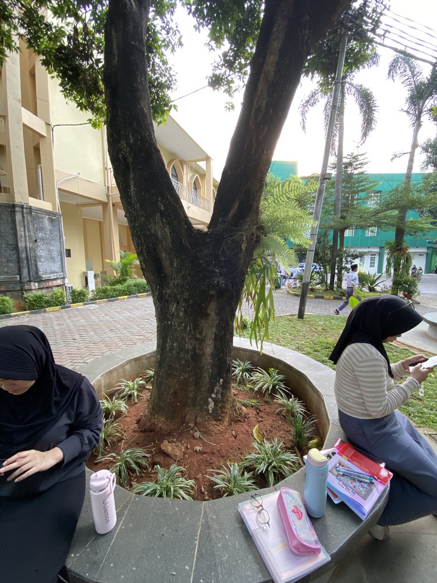 noblessaki's tweet photo. SLMT sore bund,,, Slm dari pjuang PTN,,, Sukses SLL YH kakak,,, 🥰🌹🌻 #buten #adzkiakedinasan https://t.co/iSk7WTvXCW