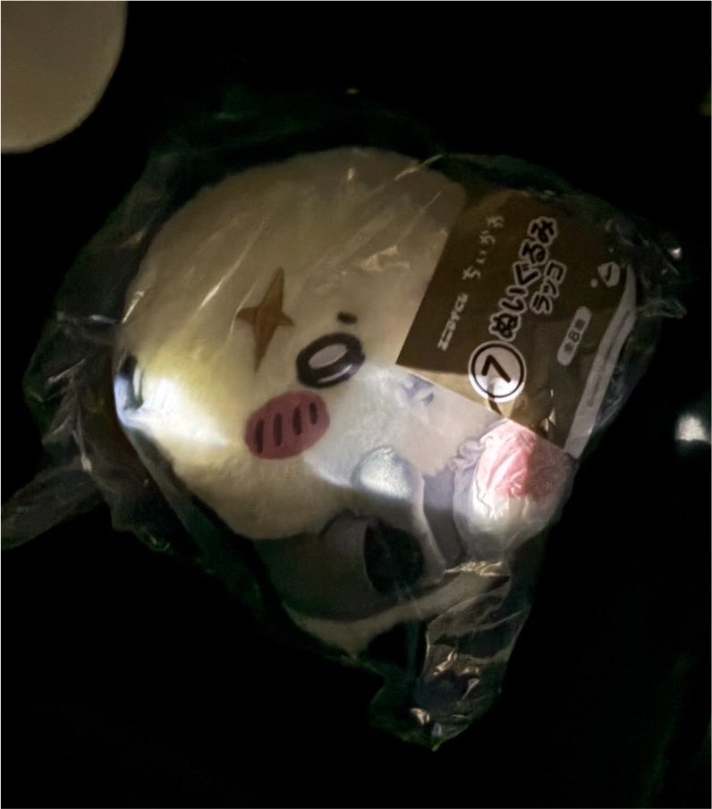 k__tr120's tweet photo. @Doll_Ebukuron 検索から失礼いたします！当方エニマイくじラッコぬいぐるみ所持しております！
うさぎとの交換のご検討よろしくお願いいたします🙇🏻‍♀️ https://t.co/XYW4UY2po1