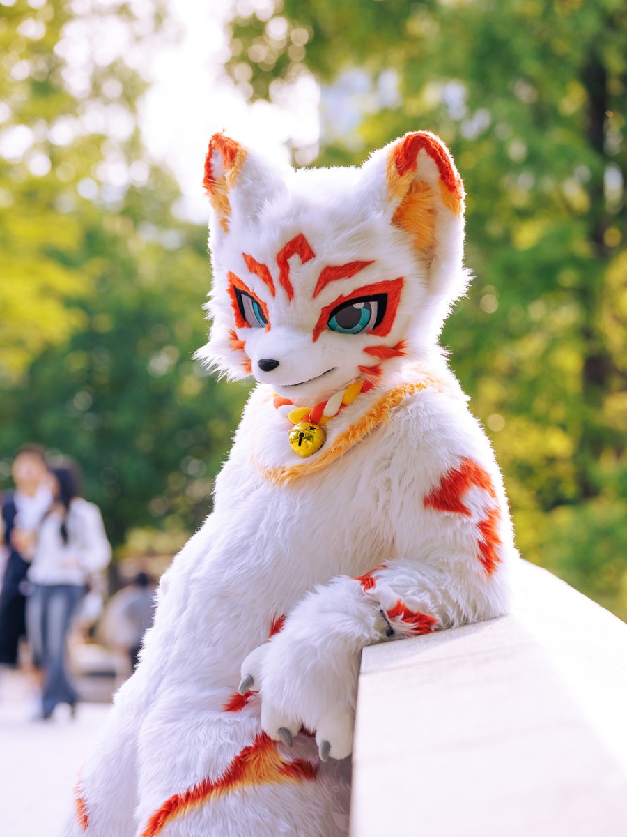 LEF_fursuit's tweet photo. 이래도 여우처럼 보이나요? 분명 늑대인데...
#FursuitEveryday #레프는여우가아니야 https://t.co/UFVK1983AJ