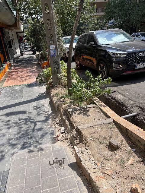 K_delpiero's tweet photo. واقعا شبانه رفتین تمام جدولهای خیابان #سنایی تو پیاده رو ها رو با پتک زدین شکوندین که مردم نشینن؟
ریدین تو نمای پیاده رو، ریدین تو پولی که بابت جدول و باغچه ها هزینه شده که چیو ثابت کنین؟
دقیقا تاکجا میخواین سقوط کنین؟
حد حماقت شماها تا کجاس؟ https://t.co/tgTKjWgxbE