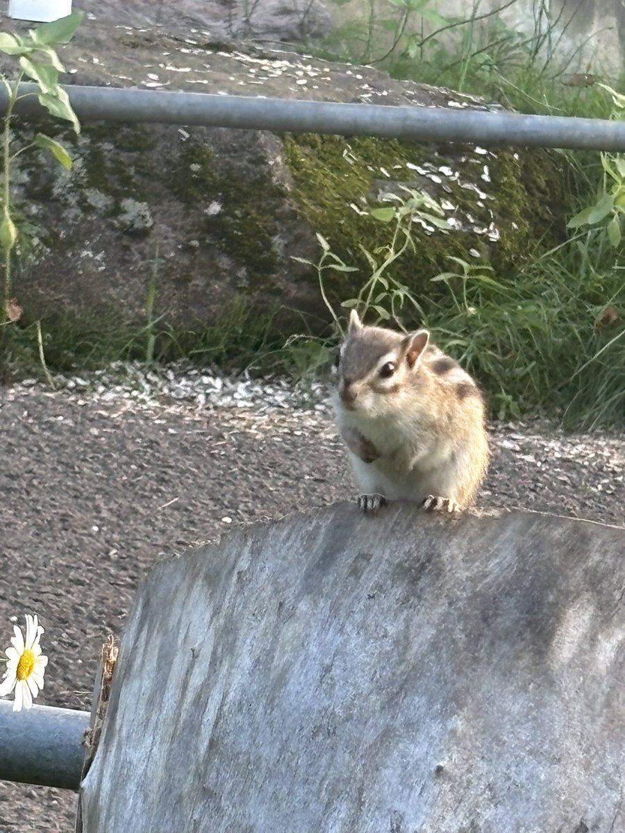IMOMIch's tweet photo. 何見とんねんワレ https://t.co/9Pqx8ok5pP