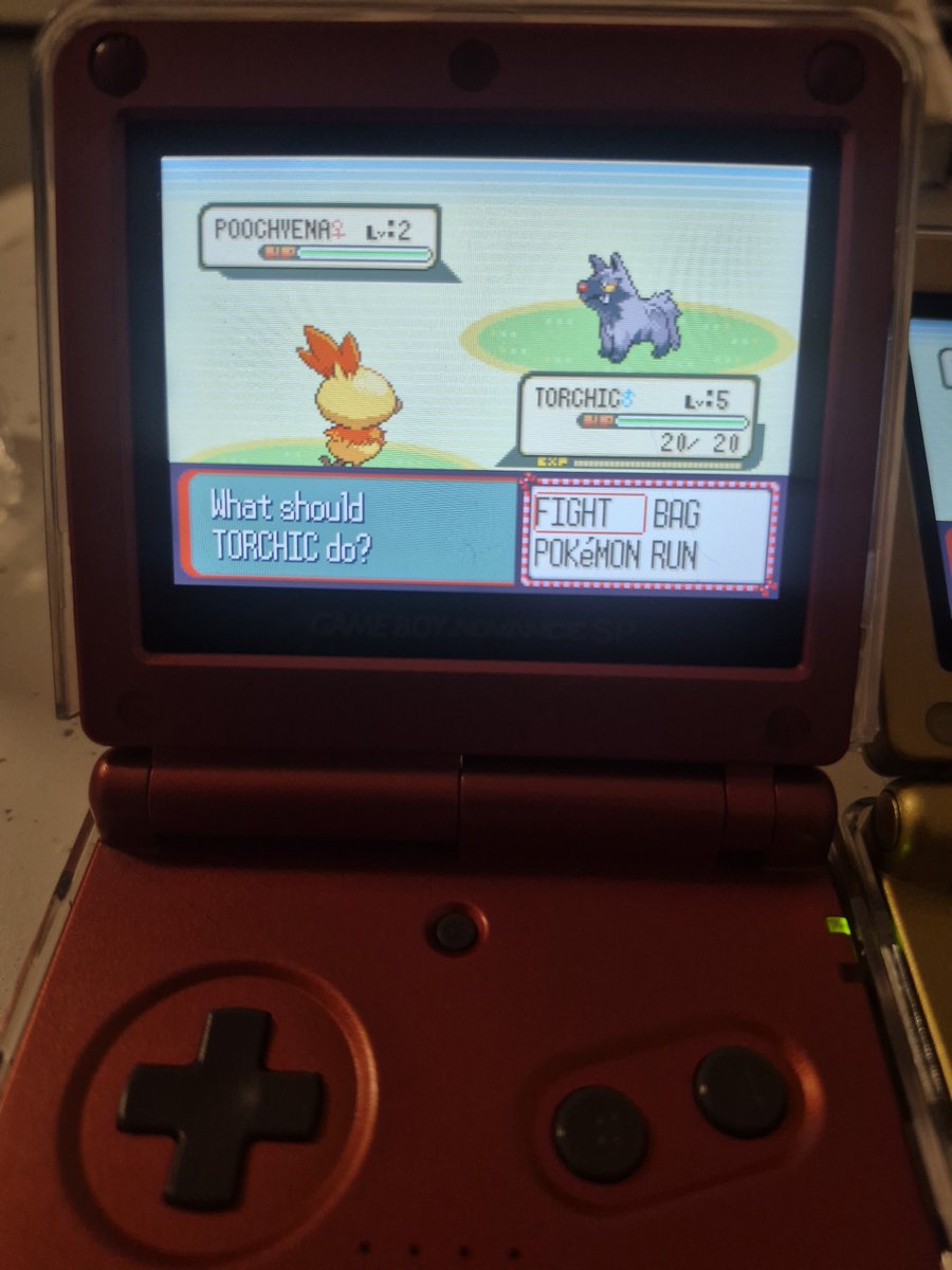 Cubone_Skol's tweet photo. Shiny Torchic found in Pokemon Ruby at 3379 encounters. This is the start of my mono-red challenge that will be paired alongside my mono-blue hunt in Pokemon Sapphire. Finally can get to doing some RE's!

#ShinyPokemon #Pokemonruby #Torchic https://t.co/PPertSLveD