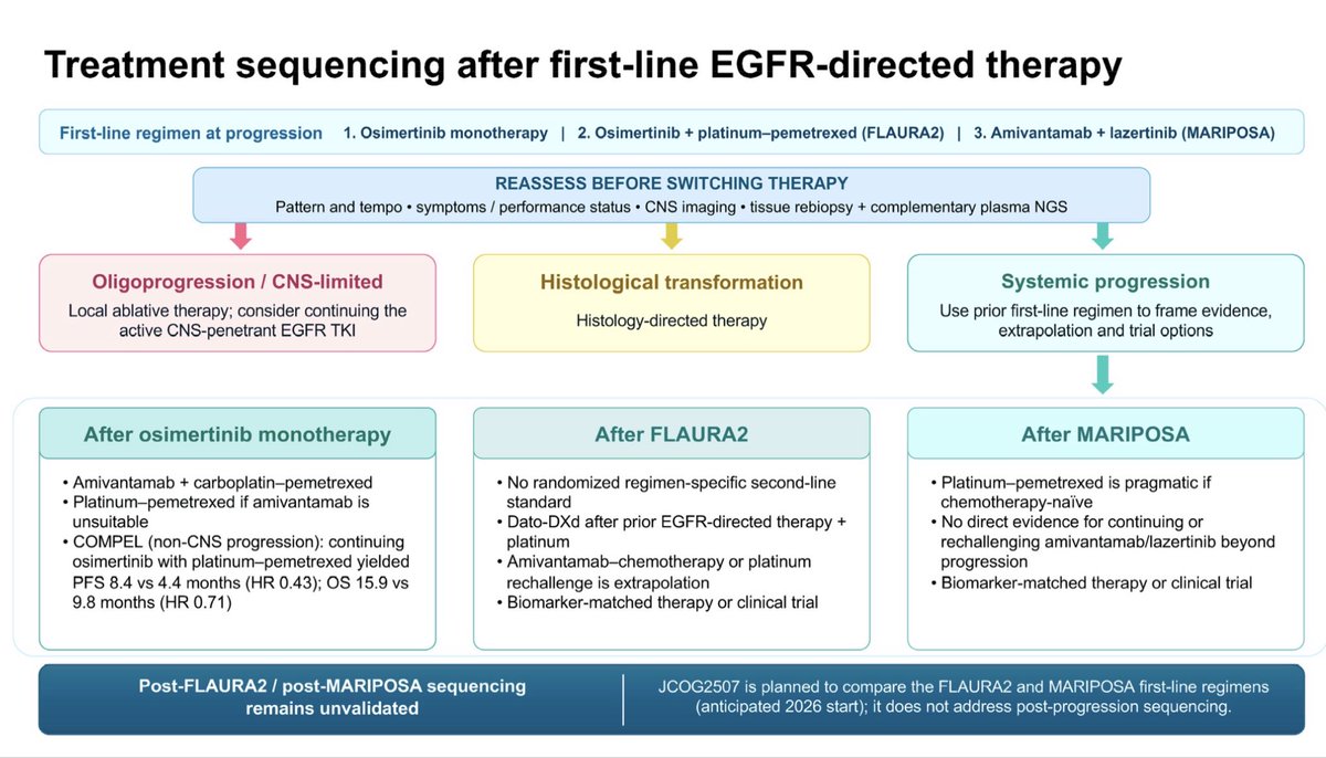 stephanieplsaw's tweet photo. How far have we come treating EGFRm NSCLC and what new dilemmas do we face? We discuss biomarkers, rationalising options and challenging clinical scenarios. Always a pleasure to write with friends ☺️ @DrYujiUehara @hiroto_pulm @JiefeiHan @drkevin_chua_lm 
https://t.co/H05IQofcFM https://t.co/ryuvhXLjqY