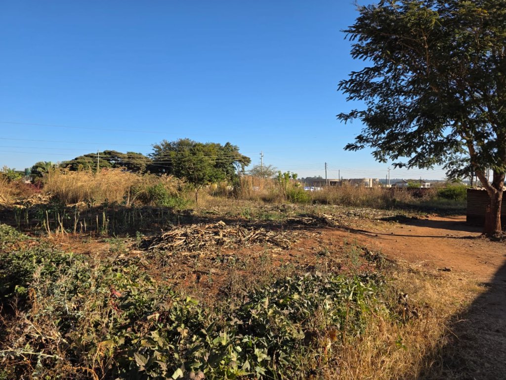 estate_crystal's tweet photo. Visit :https://t.co/uH6Q5on6Bc
Gletwyn residential vacant stand USD 130 000
measuring 2500m² walled 3 sides paper local government cession. https://t.co/sOISfUhyuD