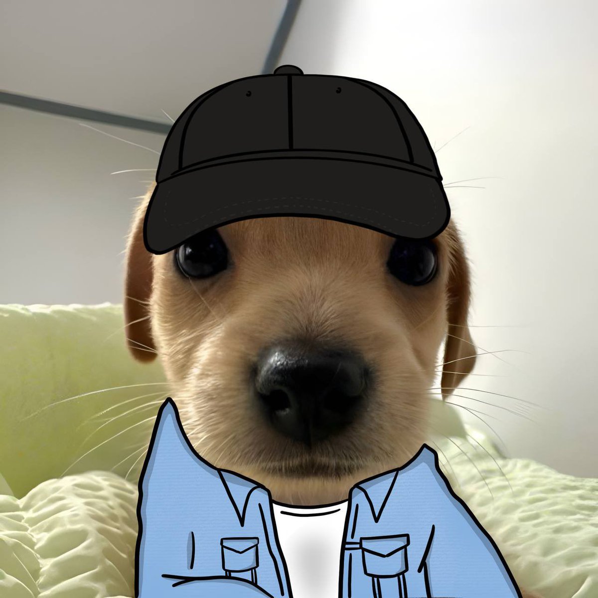 Dn_hustle's tweet photo. Stop chasing every new deploy

$BILLY is the ticker I’m loading. Strong meme energy, growing community, and the kind of momentum that catches everyone off guard

Don’t fade @billycoin4ever https://t.co/UnC5muYfvX