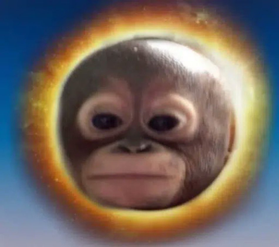 _SWOGer_'s tweet photo. @CoinMarketCap GM bro 😎 https://t.co/QHAs9Wtxz3