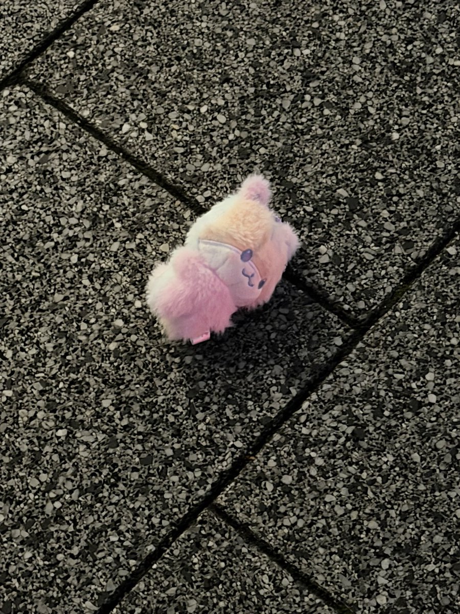 jjongppo_1012's tweet photo. 【拡散希望】
豊洲駅付近のららぽーと前のバス乗り場で迷子のチュンラミ発見しました
近くの｢白虎｣の像ところに保護してあります
元の持ち主の方に届きますように😖

 #ATEEZ #豊洲PIT #BAD https://t.co/9r0phEn4XL