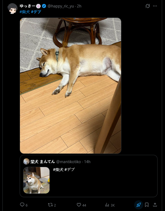 mintmaxxerfreak's tweet photo. I just found a trend where japanese people will just post their fat animals😭 

#デブ means "fatty" and its just them posting pics of their fat dogs and cats

thats where manten comes from, the trend is way better

https://t.co/YUUGJIsA1n https://t.co/7lNwaUNrwP