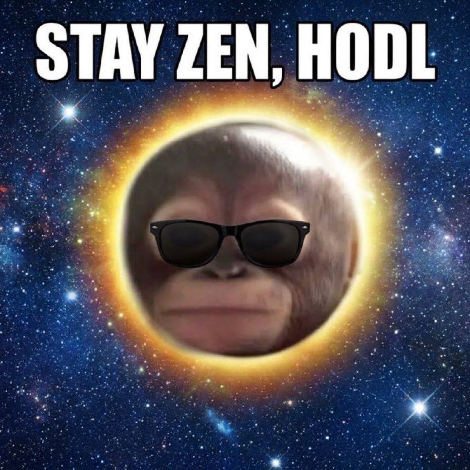 _SWOGer_'s tweet photo. @dogeofficialceo 👀 https://t.co/aHfgTOPT8g