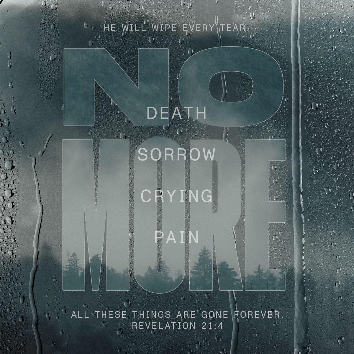 daniellecolt's tweet photo. “And God shall wipe away all tears from their eyes; and there shall be no more death, neither sorrow, nor crying, neither shall there be any more pain: for the former things are passed away.”
Revelation 21:4 KJV https://t.co/r7KrIWJF5a