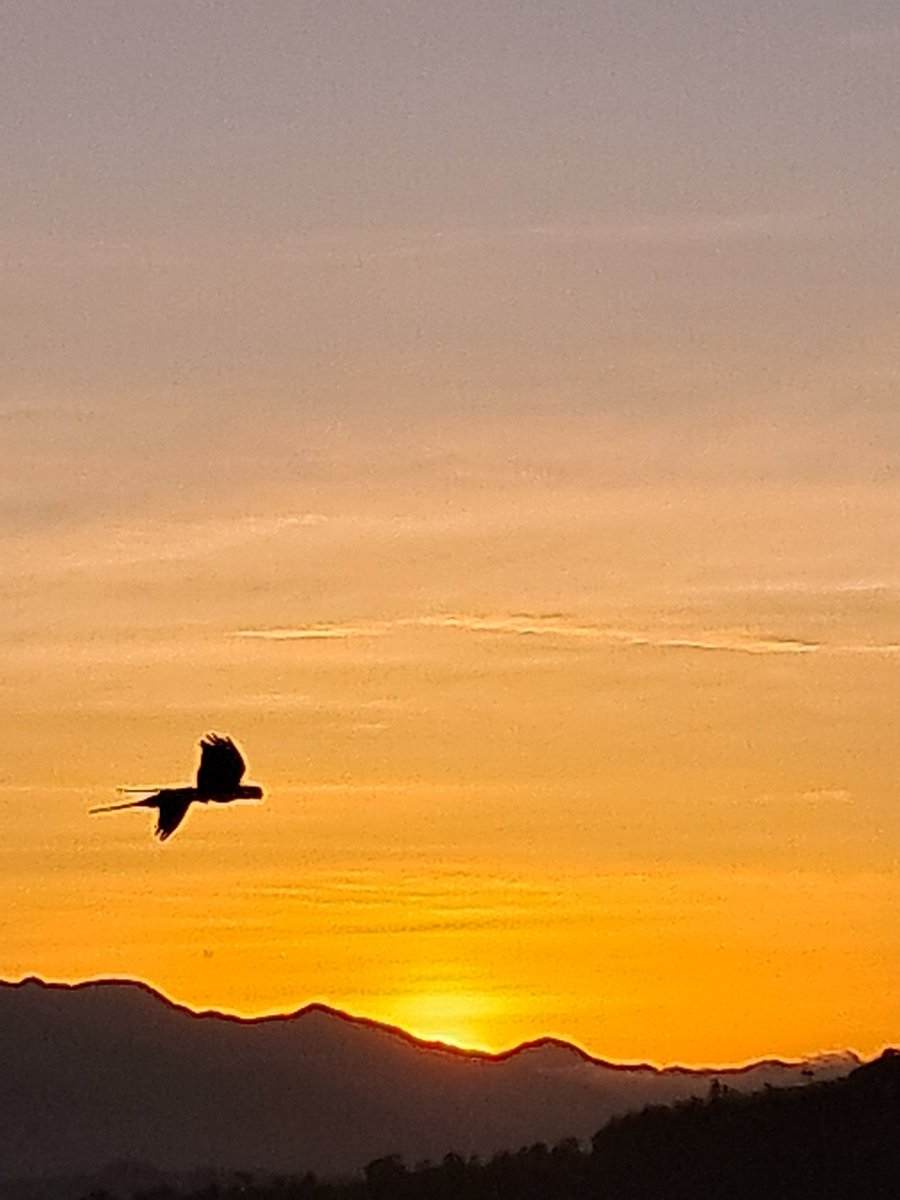 leomoron's tweet photo. @Meteovargas Asi amanece en #Caracas  hoy #28J https://t.co/Y8ZTidQNS1