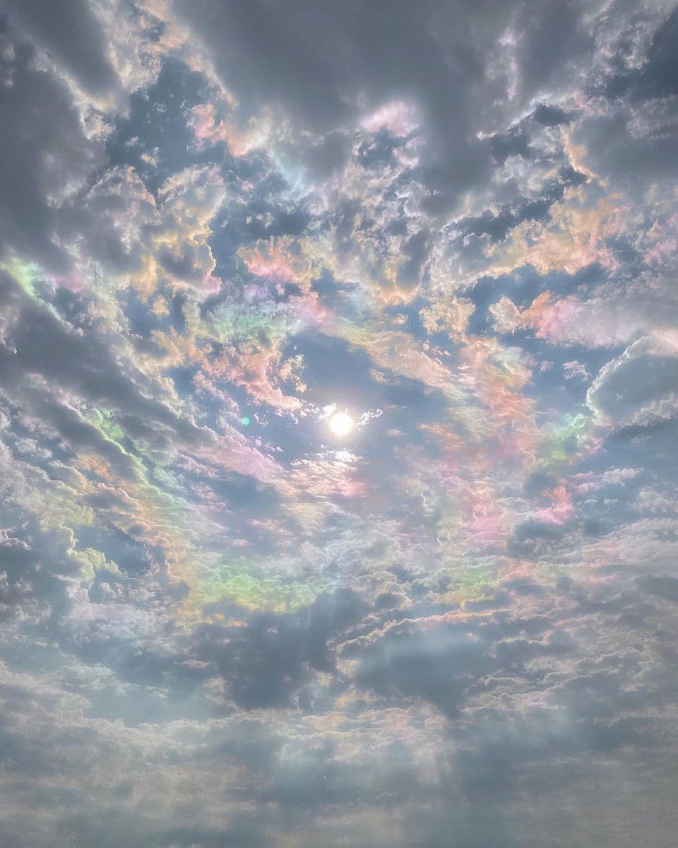 curiosity_posts's tweet photo. 🎨 https://t.co/Zyemf20yDk