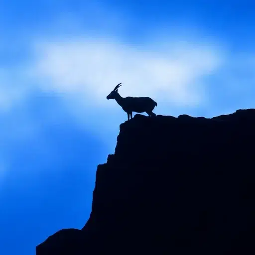 cyberaurix's tweet photo. This Goat from Animal Planet is going Insanely Viral for completely aura farming on live TV This Goat is standing over a mountain and people are commenting "A Goat for a reason" 1.3 Millions likes 
https://t.co/k2GU16KH8o https://t.co/yXxSc7Zz4I