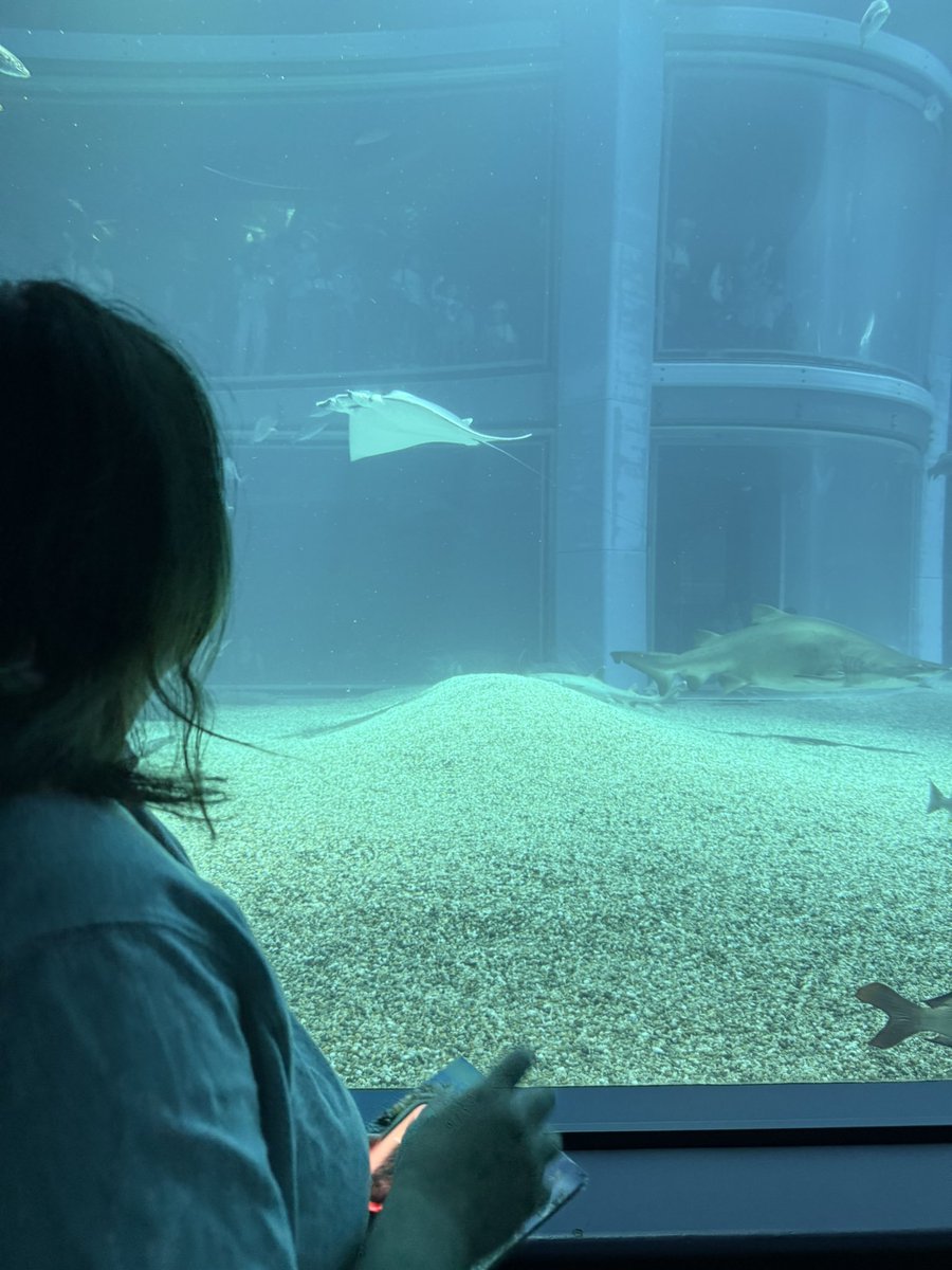 tt_927__'s tweet photo. 彼女と久しぶりにゆっくり海遊館デート！その後三田アウトレットに行って欲しかった服を買ってもらった！運転やら何やらありがとう😭❤️ https://t.co/nP7LRpznMz