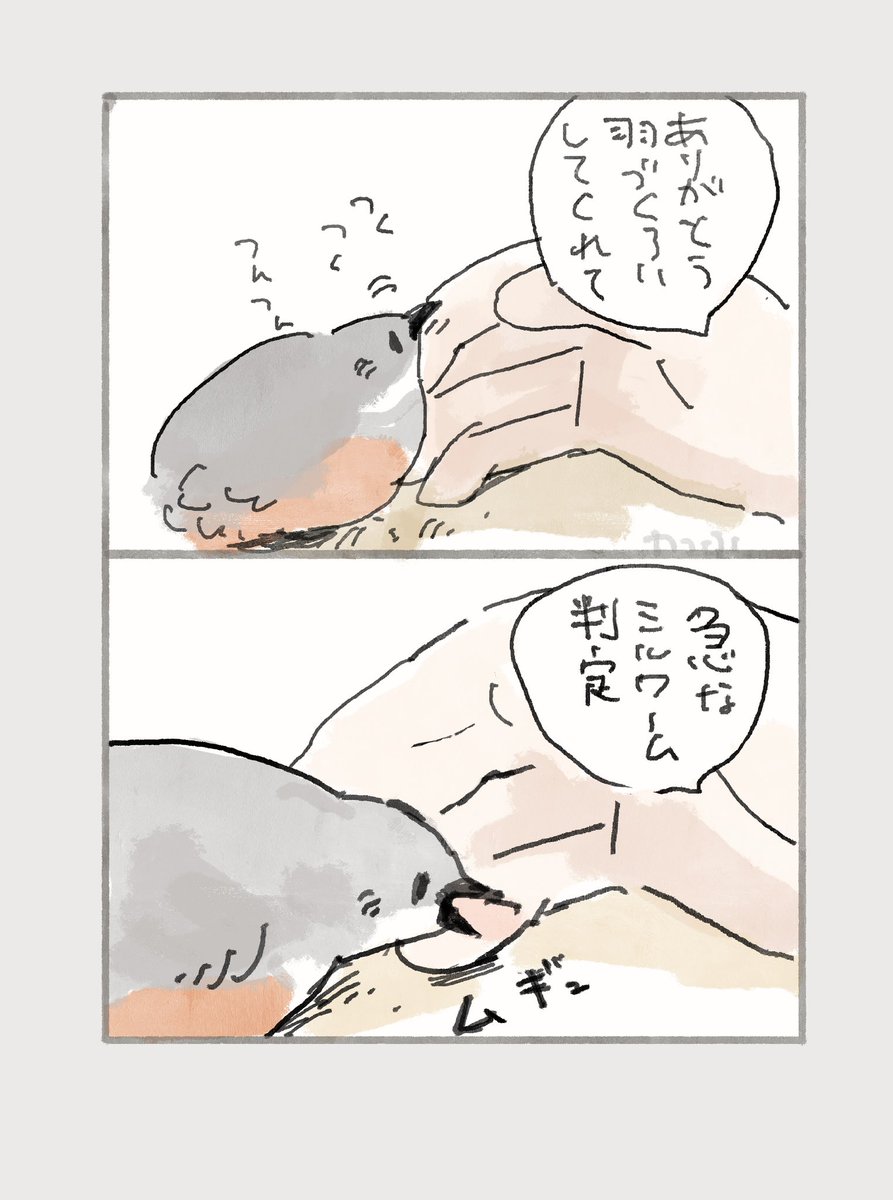わっふ、絵描き tweet media