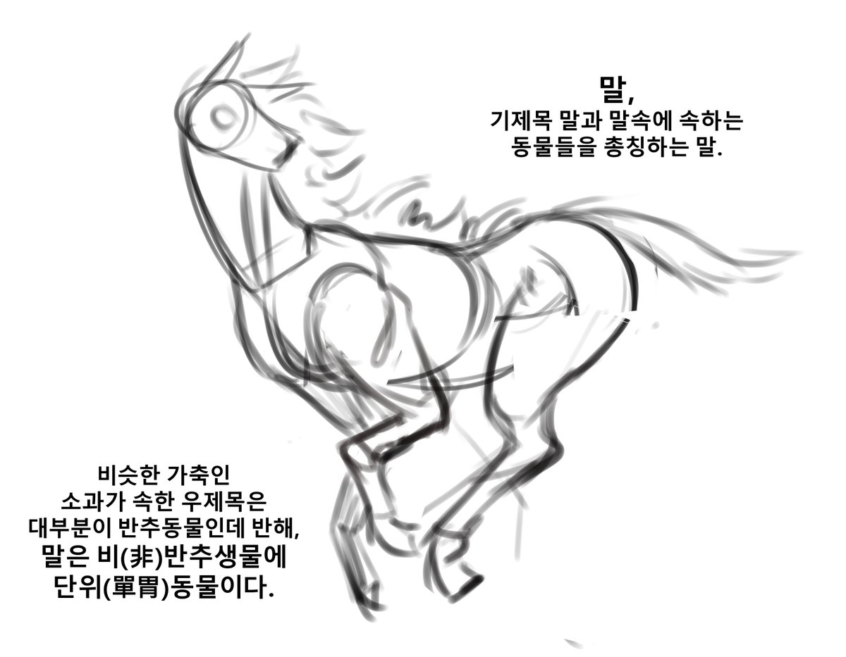 r2I3Y0qcpOMDeYW's tweet photo. 에리쉬 대량탈분

!!!!!!!!!!!!!!!!스캇 주의!!!!!!!!!!!!!!!!
!!!!!아!!!!!자!!!!!자!!!!!자!!!!!잣!!!!!

커미션으로 신청받아 진행한 작품입니다!
재밌게 작업했습니다, 신청해주셔서 감사합니다아- https://t.co/35M7YVBqFP