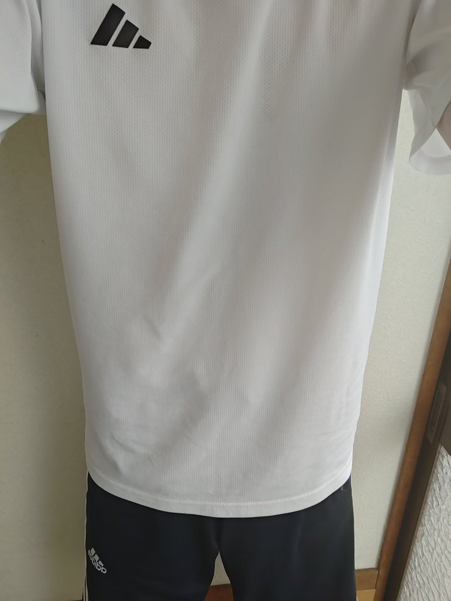green_pepe's tweet photo. 夕ラン6.5kmコースを5.0kmでリタイア。涼しかったけど異様に湿度が高くて、病み上がりなのでこれが限界かなというランだった。#ランニング https://t.co/JzQBuG23x6