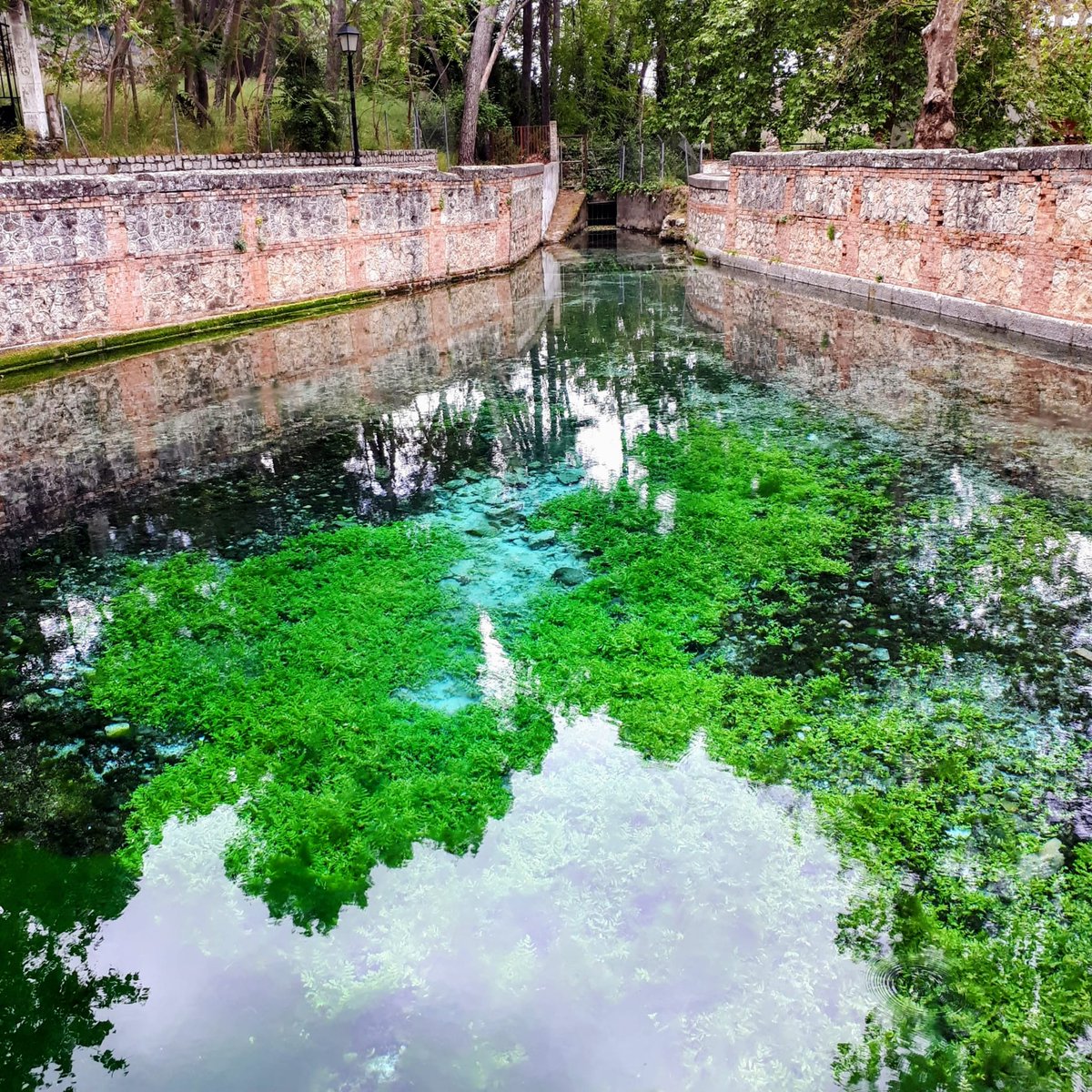 AguaGranada's tweet photo. ¿Cómo se origina el manantial que dio vida al #Albaicín de #Granada?
La falla de Alfacar, facilita la salida del #agua, uniendo ciencia, #biodiversidad e historia hidráulica.
#FuenteGrande #Alfacar #AguaGranada https://t.co/xgl5ACIILT