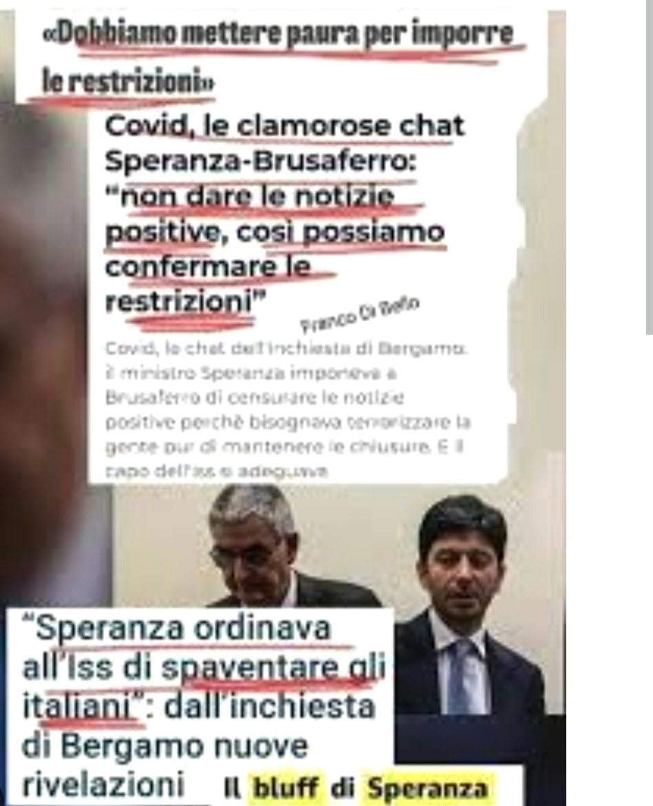 Livythinker's tweet photo. Nelle indagini nell'inchiesta di Bergamo erano uscite le chat tra Speranza e il presidente dell'iss Brusaferro. https://t.co/KhWnefVZlO