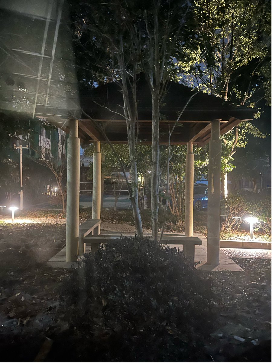 MarianStap4api's tweet photo. 今天加班到九点，出地铁时风裹着桂花味扑过来，突然觉得累好像也能松口气了。 https://t.co/SZfTxr10JT