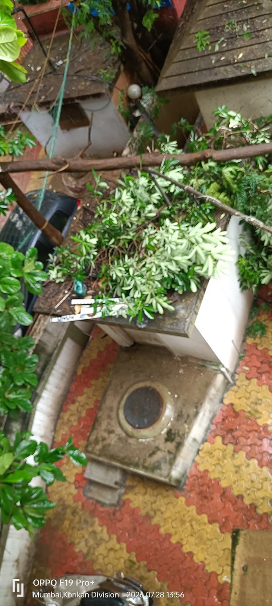 BhendeShashank1's tweet photo. @mybmc @mybmcWardL tree rooted in building no 28 Nehru Nagar Kurla East has fallen in the compound of building no 27 nehru nagar Kurla east. Request authorities to urgent attend and clear the fallen tree as the branches have fallen on one four wheeler https://t.co/4dYE45S3HN
