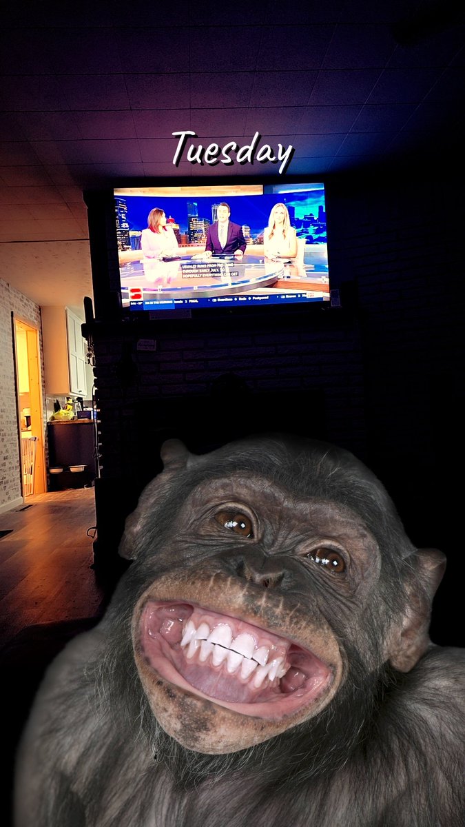 LoganT1997's tweet photo. Morning! This is my pet pic. His name is Harold. He enjoys watching every morning.  🤣🤣🤣🤣
@TessMaune 
@StaciaKnightWx https://t.co/MhoIvKxK3o