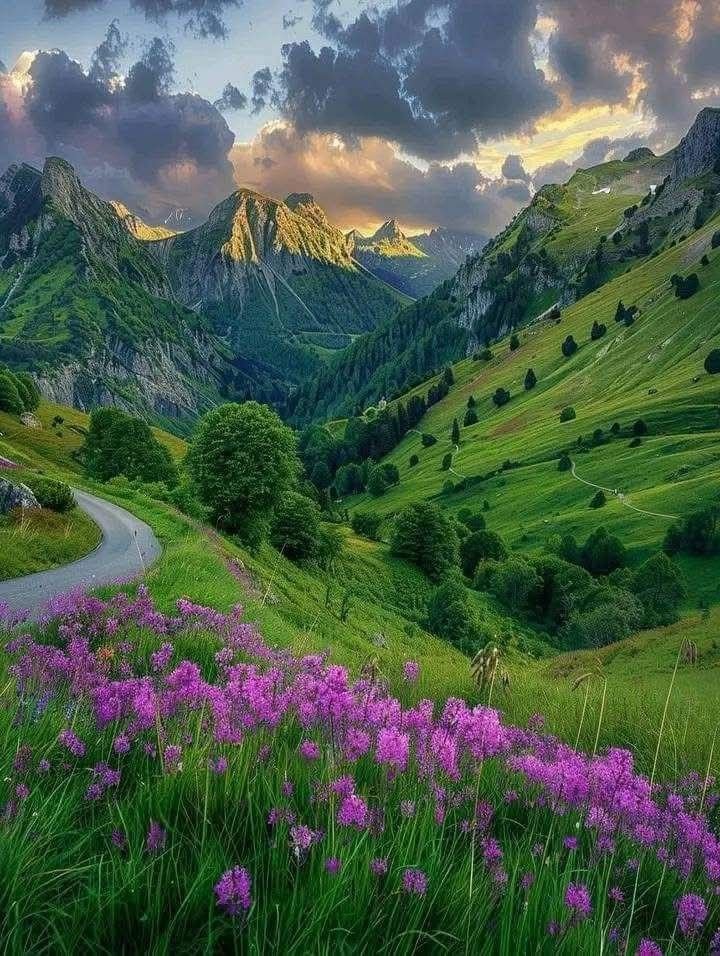 TravelBucketX's tweet photo. Summer beauty of Switzerland 🇨🇭 https://t.co/tSkDWmrDum