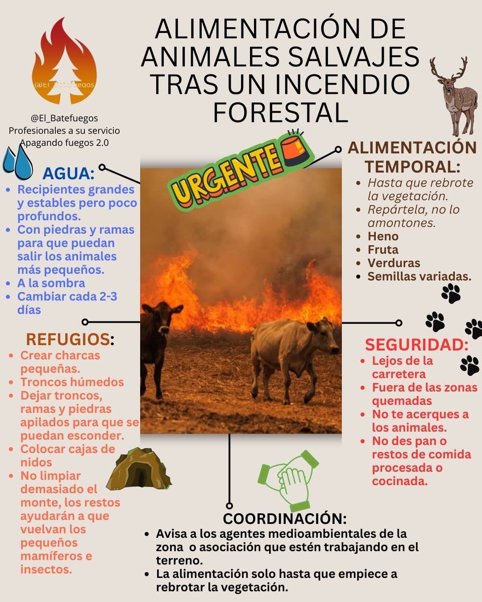El_Batefuegos's tweet photo. #IFBurgohondo Ávila 
#IFSierraOeste Madrid 
#IFAlmorox Toledo

Ayudar a los animales no es tirar comida por el campo. 

Te explicamos la mejor forma de hacerlo y hasta cuando.

#EmergenciaNacional #IIFF https://t.co/ciXlSi5rhD
