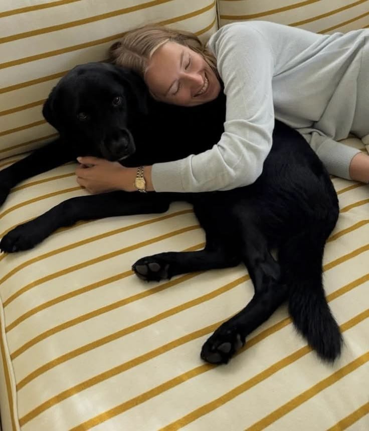 Knottiesharon's tweet photo. He’s not just a dog🥰🐾💦 Dm me via my private link below for and exclusive videos 
https://t.co/rq6Bwovik9
https://t.co/rq6Bwovik9

#doglovers #bestialitydoggystyle #zoophillialoveme #blond #zoo #premium #loveofdog https://t.co/Lrlmu06G6N