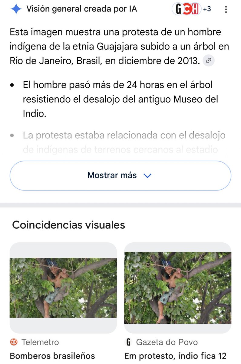 J. Raúl Insaurralde 🍄 tweet media
