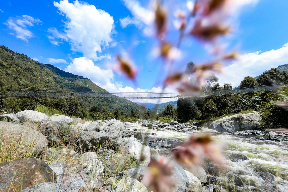 JosephsKasengya's tweet photo. At a glance, it's the Bikone Bridge nestled in the slopes of Mount Rwenzori National Park! The surrounding hills make an absolutely breathtaking backdrop.
​#Rwenzori #Uganda #TravelUganda #NaturePhotography #ExploreUganda https://t.co/mh9gUx06Lt