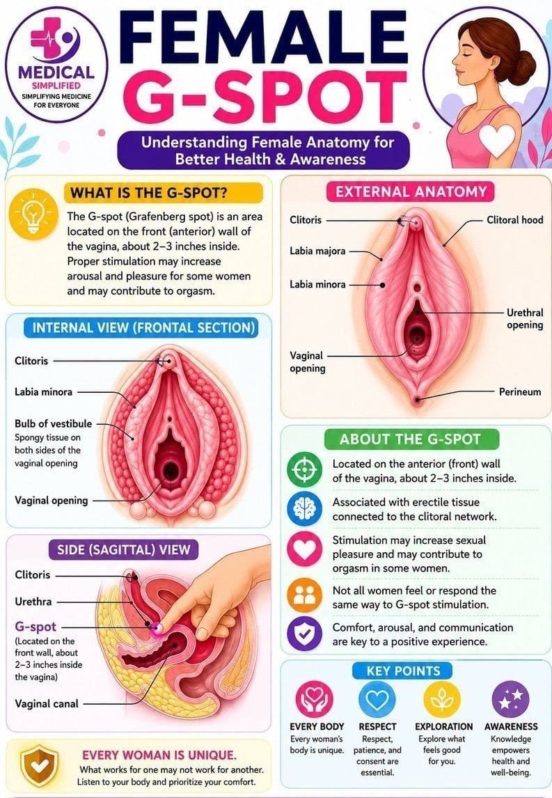 Healthylife_HQ's tweet photo. Understand the female anatomy: https://t.co/03Xp2W4xXk